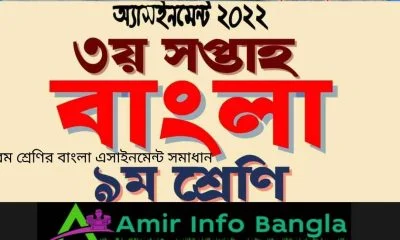 নবম শ্রেণির বাংলা এসাইনমেন্ট সমাধান