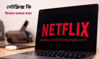 what is netflix bangla